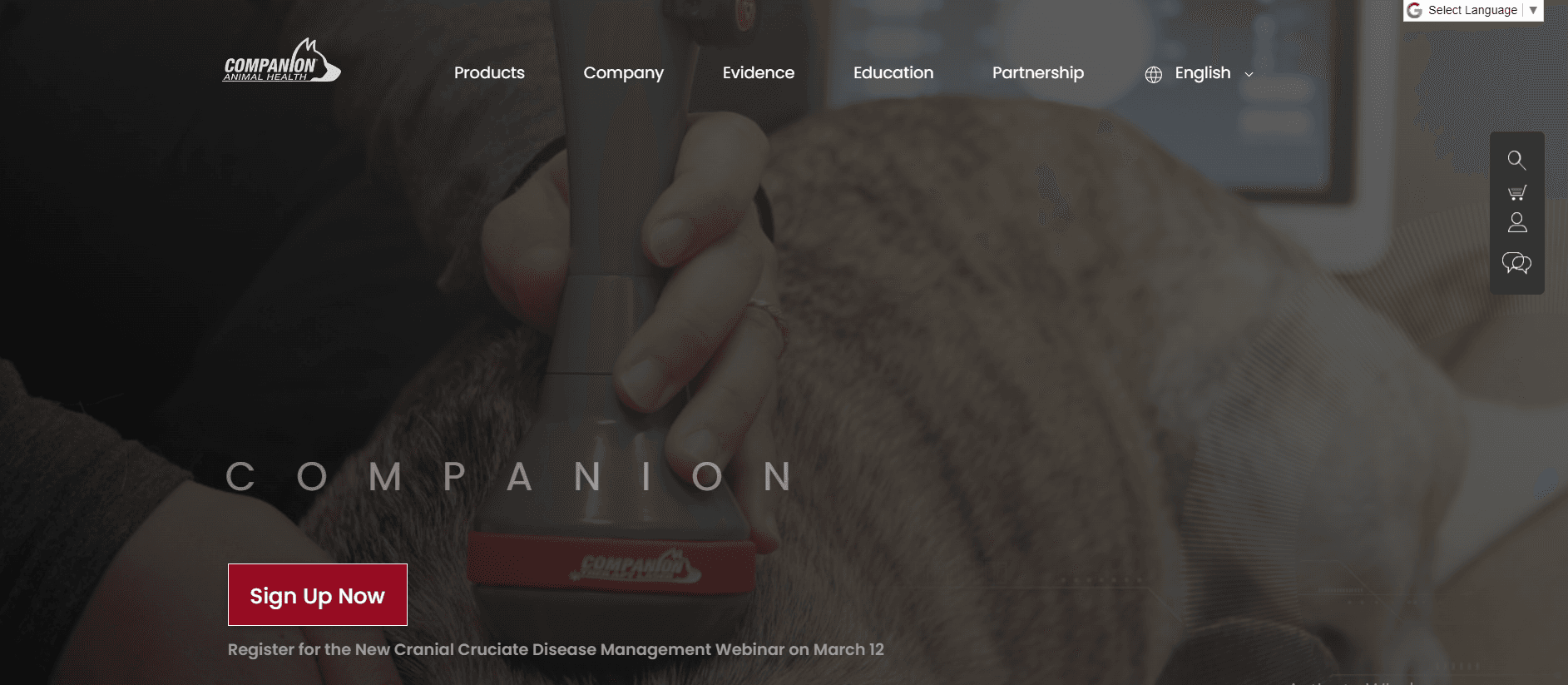Companion Animal Health